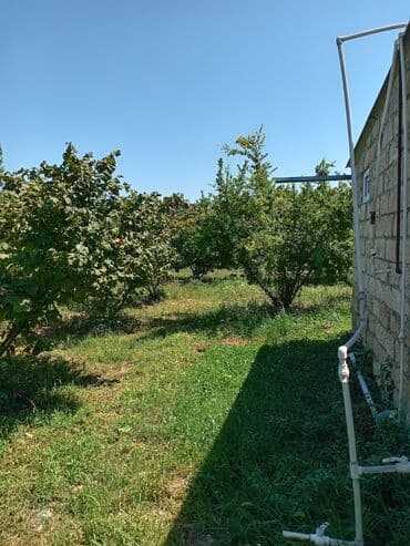 bilgəh kirayə evlər: 3 комнаты, 90 м² — 14