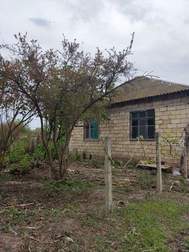 yeni günəşlidə satılan evlər: 3 otaqlı, 120 kv. m — 4