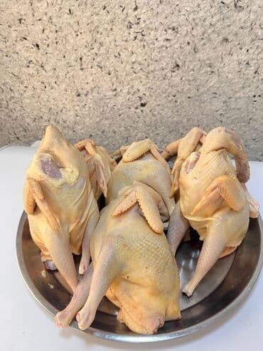 Чай, кофе, напитки: Məhsul: kənd toyuqları (kəsilmiş, təmizlənmiş, bütöv) • Dadlı və — 3