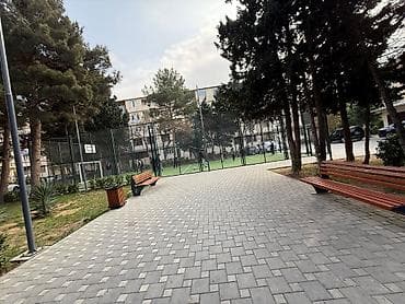 otag: Bakixanovda 252 nömrəli məktəbin yaxınlıqında abad heyətdə 4/5 — 1