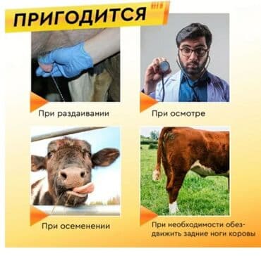 электрическая машинка для стрижки овец: Tekmesavar Антибрык Topdansatis qiymetlerle satış Agromarket və — 2