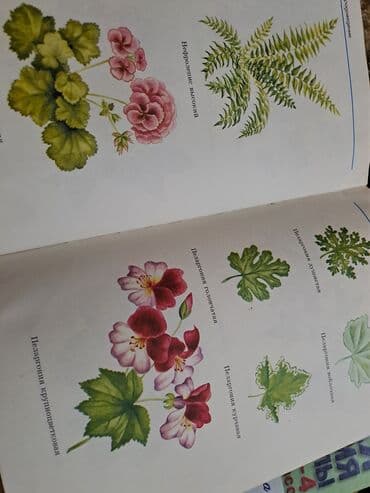 русский язык 2 класс мсо: Большая энциклопедия начальной школы(полный курс начальной школьной — 6