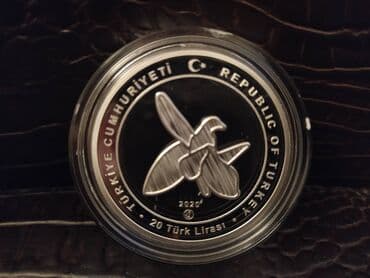 qarabağ olympiakos: 20 2020 il, Gümüş — 2