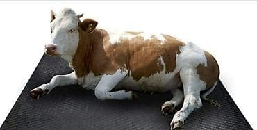 Рогатый скот: Heyvan rezinleri Heyvan yatakları heyvan döşəkləri Yeni Türkiyə — 5