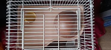 yem satisi: Hamster qəfəsi və aksesuar dəsti - Kiçik gəmiricilər üçün iki — 4