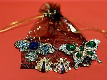 Бижутерия: Böcək temalı bəzək broş dəsti - Dəst tərkibi: 4 ədəd broş - 1 ədəd — 6