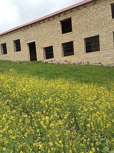 Dağətəyi ərazidə yerləşən daş konstruksiyalı təsərrüfat binası - — 1