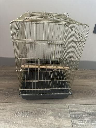 Quş qəfəsi - Material: metal karkas, qızılı rəngli barmaqlıqlar - — 1