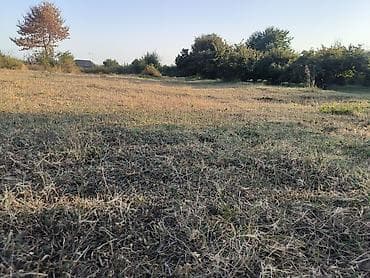 novxanida torpaqlar: 21 sot, Biznes üçün, Mülkiyyətçi, Kupça (Çıxarış) — 8