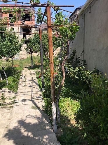 Həyət evləri və villalar: NZS 6 otaqlı, 250 kv. m, Yeni təmirli — 5