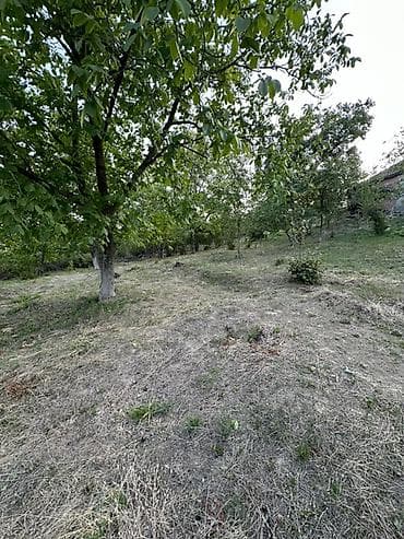studiya otaq: Tənqaltı, 85 kv. m, 3 otaqlı, Qaz, İnternet, Su — 3