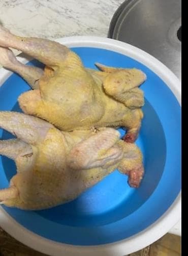 doner eti: Məhsul:super saxlamalı serbirist cucələrdir.2 ay yarimligdir qiyməti — 4