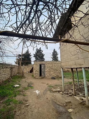 Həyət evi alıram: Maştağa qəs. 9 otaq, 240 kv. m, Təmirsiz — 2