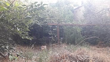 avto karavan: 3 sot, Tikinti, Bələdiyyə — 4