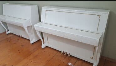 флейта музыкальный инструмент: Пианино, Акустический — 5