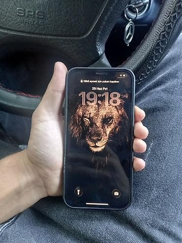 IPhone 12 Pro Max, 128 GB, Matte Gold, Face ID