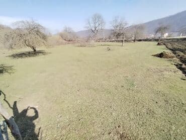 kirayə evlər gəncə 2023: 64 sot, Tikinti, Mülkiyyətçi, Bələdiyyə — 3