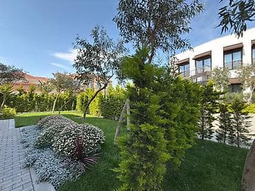 aff park: Satılır 8 otaqlı həyət evi/bağ evi 398 m², Sea Breeze q. Kateqoriya — 4