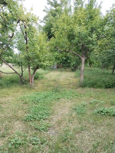 kiraye evlər: Şabran, 120 kv. m, 5 otaqlı, Hovuzsuz, Qaz, İşıq, Su — 3