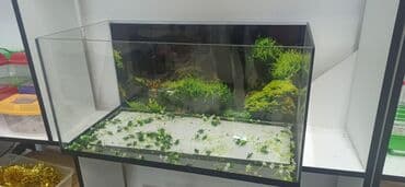 İtlər: Akvarium ekstra şüşeden yıĝılıb ölçüleri 70.35.35 - Aydın, şəffaf — 2
