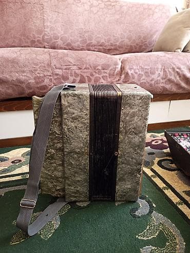 Skripkalar: Qarmon, Akustik — 1