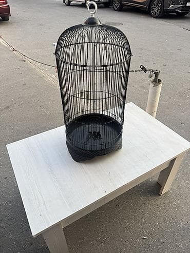 ev qus: Qara metal quş qəfəsi - Material: möhkəm metal, toz boya örtüklü - — 1