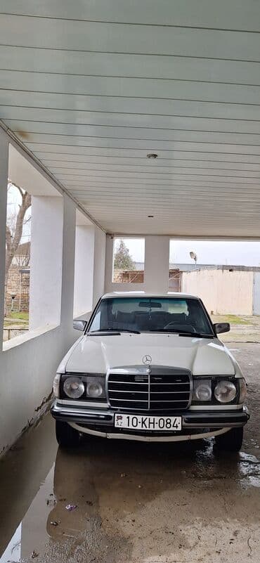 yeşqa mersedes: Mercedes-Benz 250: 2.5 l | 1981 il Sedan — 3
