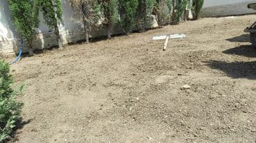 suni qazon satışı: Qazon sifarişi danimarka toxumuylə əkilən qazondu vila parklar uçun — 7