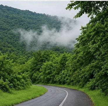 demir qapi gence: Qebelenin vendam kendi 60 sot torpaq sahesi satilir duz yol qiragi — 2