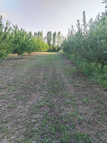 взять кафе в аренду: 180 соток Для сельского хозяйства, Водопровод — 7