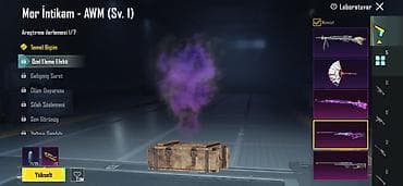 ucuz telofonlar: PUBG Mobile hesabında laboratoriya yüksəltilə bilən snayper skinləri — 2