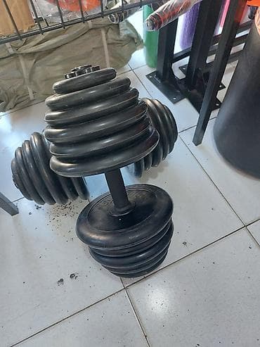 hoverboard 2 el: Qantellər, Yeni — 1