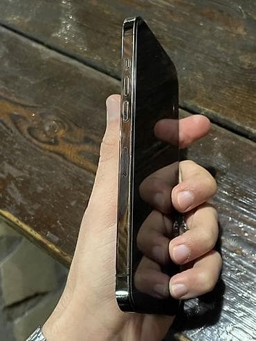 gta 5 pc: IPhone 12 Pro Max, 256 GB, Graphite — 2