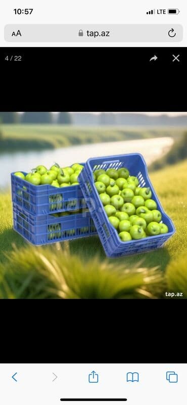 həsir səbət: Plastik yeşik(tara,sebet,yesik,qutu) istehsalı. ölçülər 60/40/10sm — 22