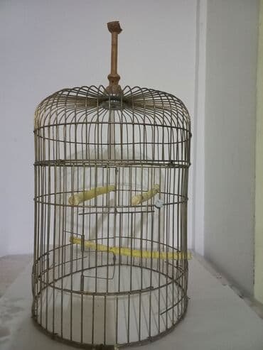 Zədəsiz,ideal vəziyyətdə.Zavod malı,3 qapılı.Hündürlüyü 50 sm