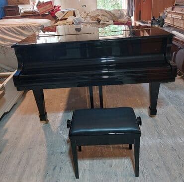 piano petrov: Royal Yeni Münasib qiymətə. Cadrılma və köklənmə qiymətə daxildi — 6