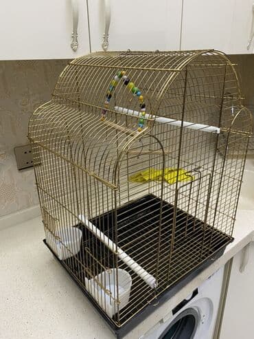 Xaltalar, qayışlar və tasmalar: Quş qəfəsi – klassik qızılı karkas, qara çıxarılan altlıqla Ölçülər — 5