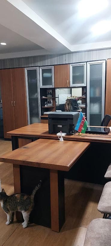 kiray: Ofis şəxsidir çıxarışı qeyriyaşayışdır yeri Sarapskiplaza ərazisi 5 — 2