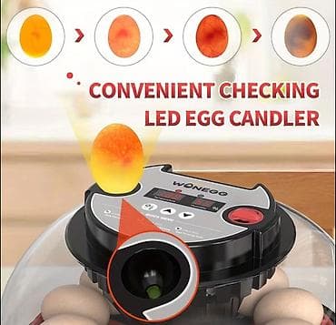 İnkubatorlar: Tam avtomat — 2