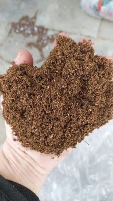 ağac satışı baki: Balaken torfu peyin ekolayf peyin peyin peyin torf250 litr torf — 21