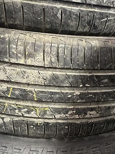 Yay mövsümü üçün avtomobil şinləri - Növ: Yay şini - Protektor