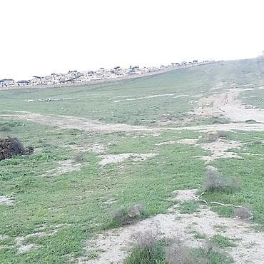 konteyner satilir: Mühandis İnstitutundan Novxanı yeni salınmış yolun kanarında — 4