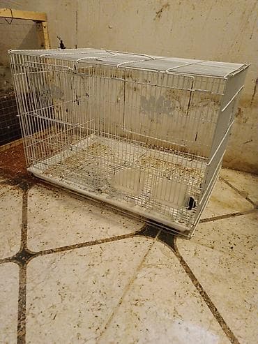 danışan quşlar: Quş qəfəs ara kesmeli. iki edet qalib qiymet birine aitdir — 1