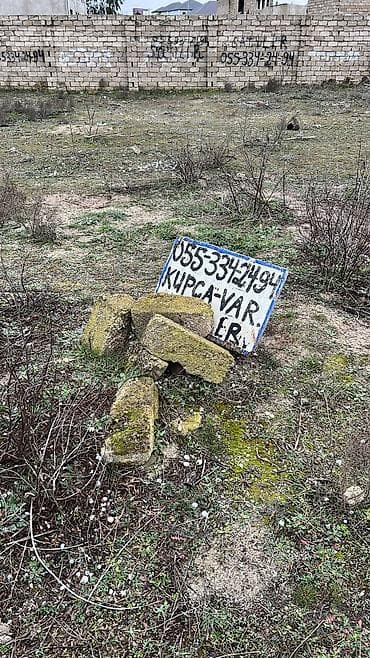 Tikinti, Kupça (Çıxarış)