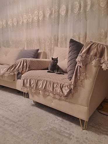 heyvan bazari: Britan, Dişi, Ödənişli çatdırılma — 9