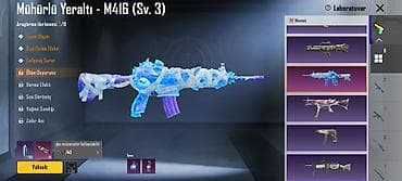 osteoartroz nədir: PUBG Mobile hesabı – M416 “Mühürlü Yeraltı” (Lv.3) laboratoriya skinli — 4