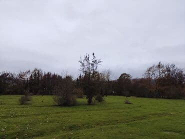 аренда земельных участков сельскохозяйственного назначения: Kənd təsərrüfatı — 3