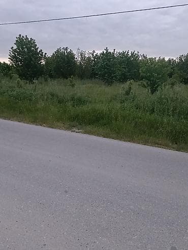 ev torpaq: 35 sot, Kənd təsərrüfatı, Maklerlər narahat etməsin, Kupça (Çıxarış) — 10