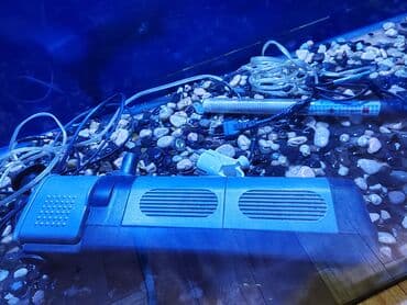 akvarium balıqlarının satışı: Salam zavod akvarium 10 luq suseden uzunlugu 1 metr hun 60 eni 40 — 3