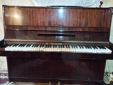 ağ piano: Piano, Belarus, Akustik, İşlənmiş, Ünvandan götürmə — 4